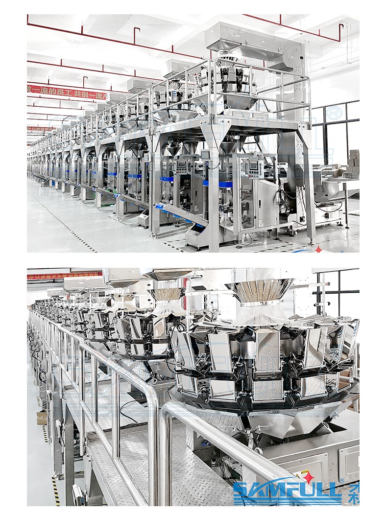 粉體類(lèi)產(chǎn)品自動(dòng)計(jì)量分裝機(jī)